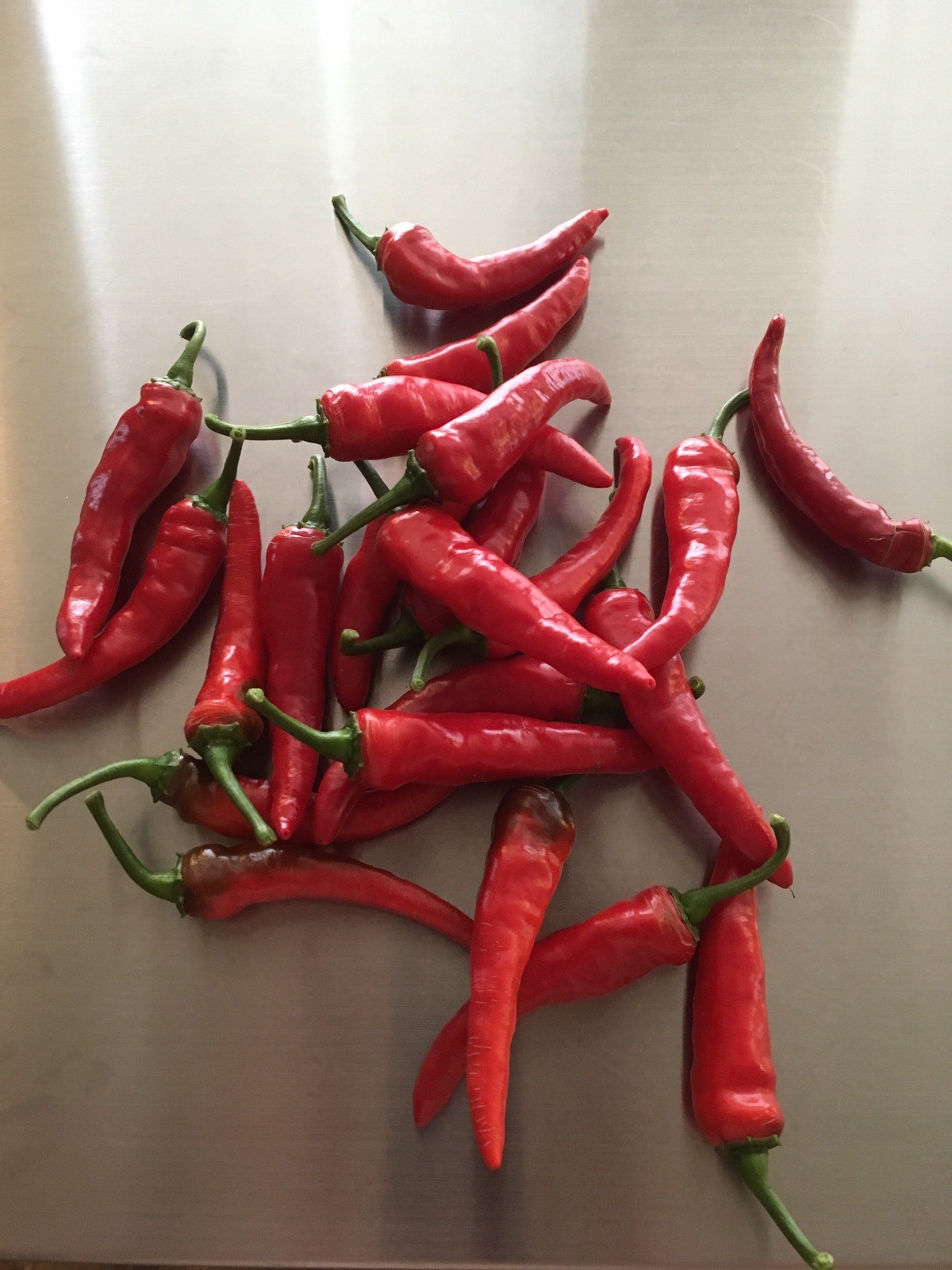 20 THAI BIRDS EYE CHILI PEPPER SEED – MAKE SRIRACHA SAUCE – 2020 PREMIUM SEEDS !