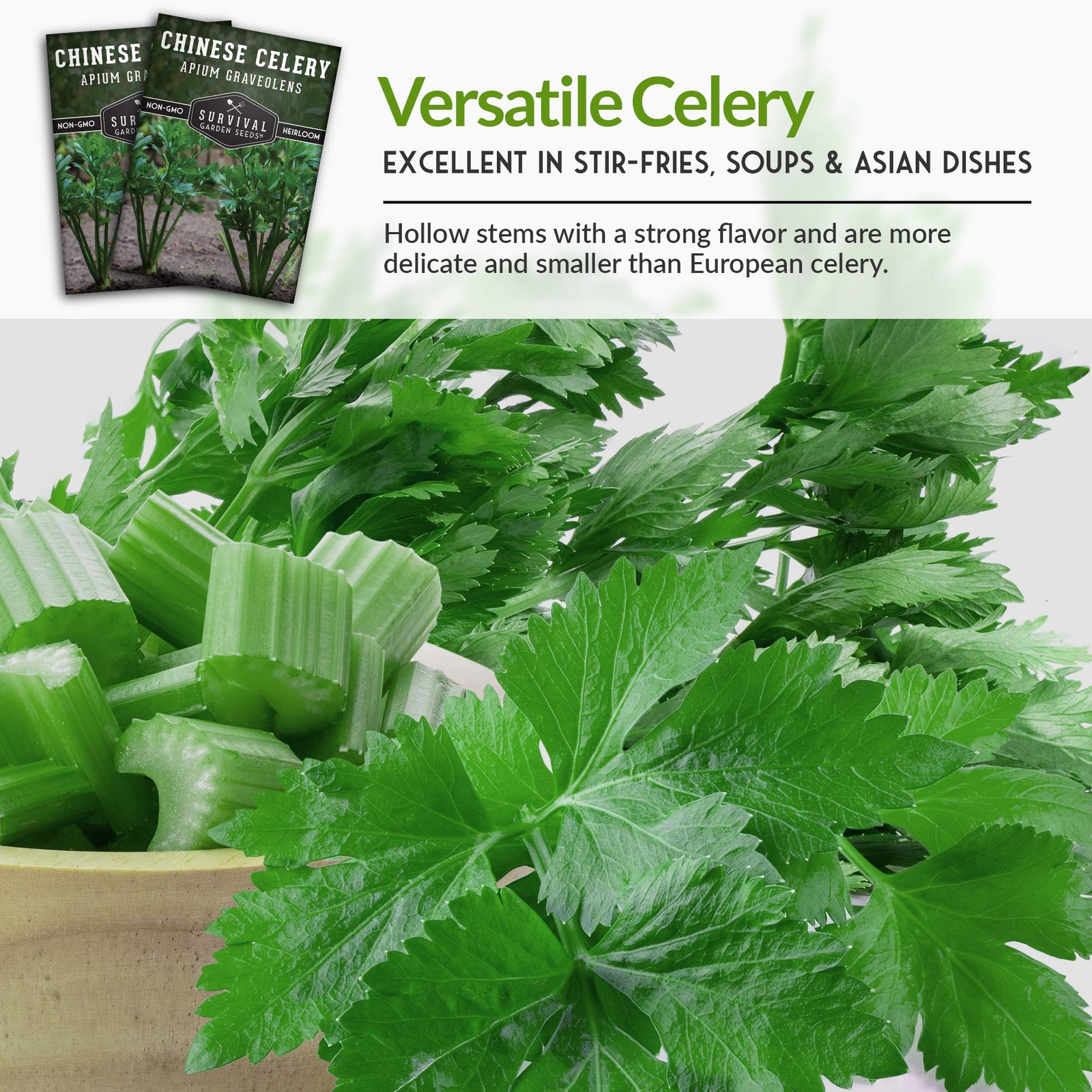 Chinese Celery Seeds for Planting – 1 Packet with Instructions to Grow Asian …
