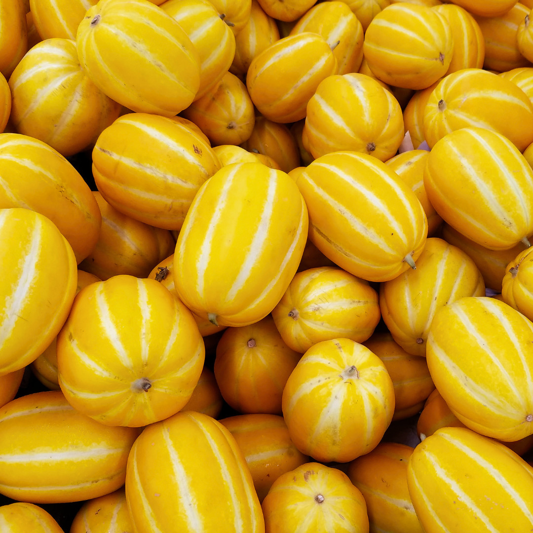 Fresh Korean Melon Seeds | Tian Gua | Heirloom Non-GMO | Asian Vegetable Seeds