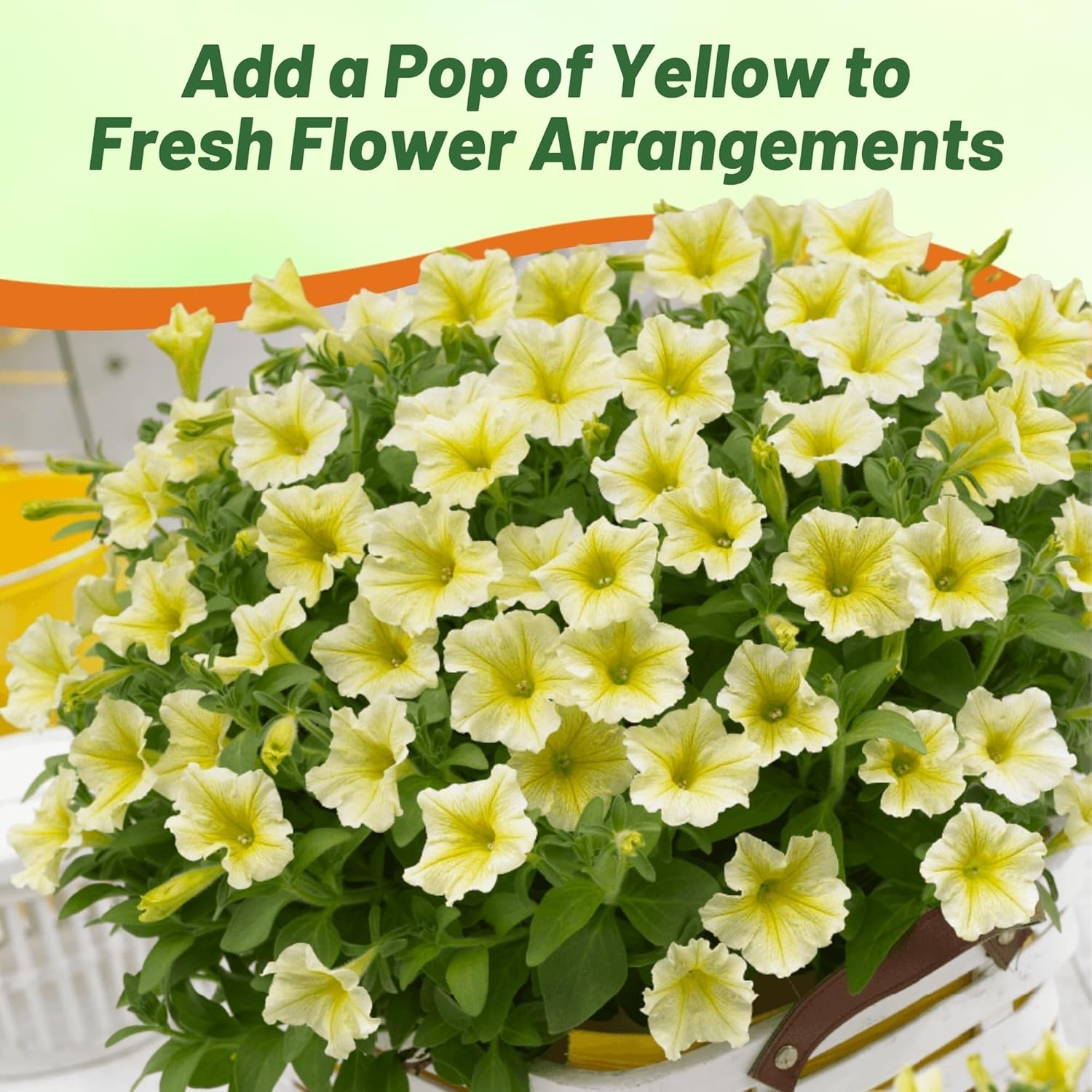 15 Seeds Easy Wave Yellow Petunia Spreading Flower Seeds