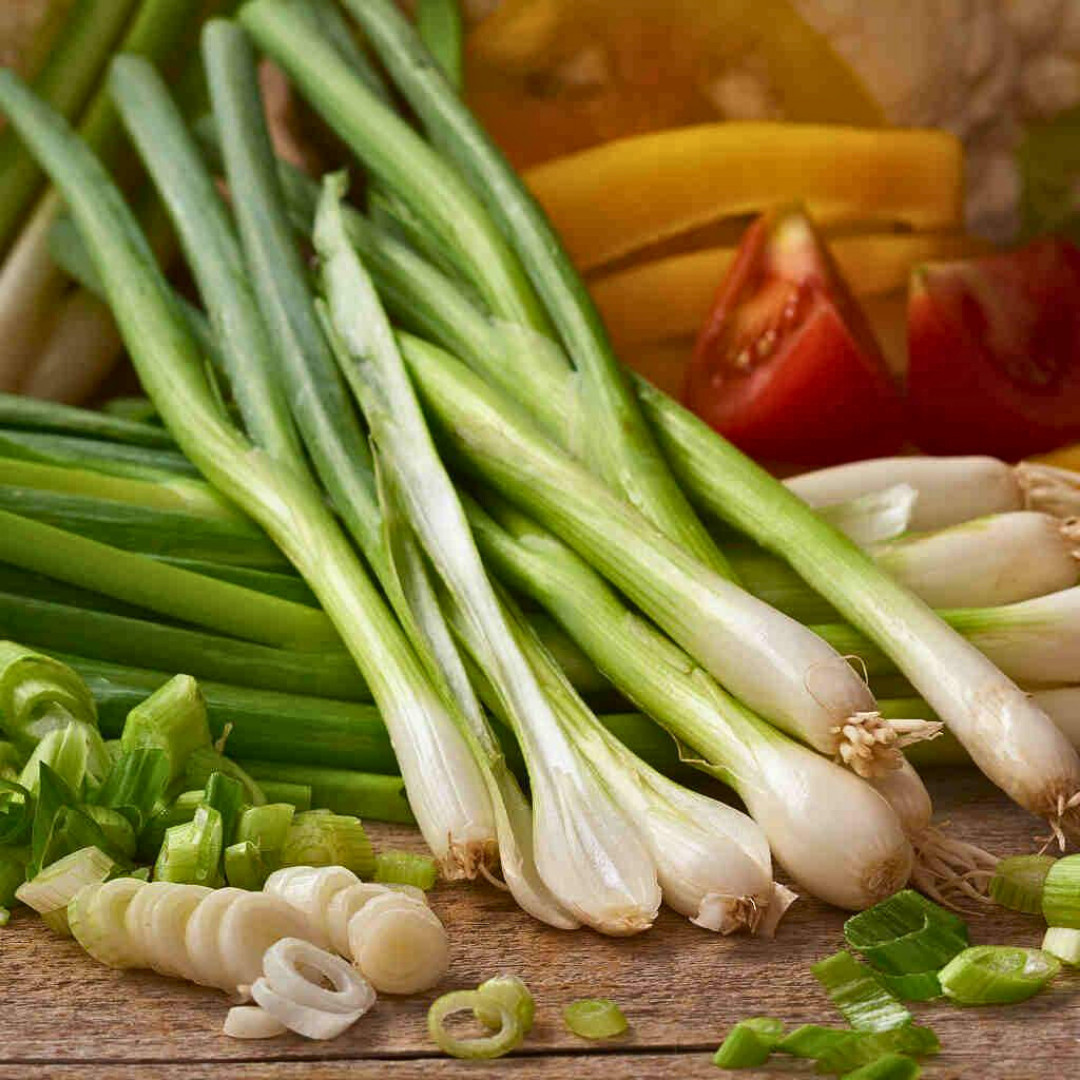 Fresh White Bunching Onion | Asian Green Onion | Heirloom Non-GMO | Vegetables