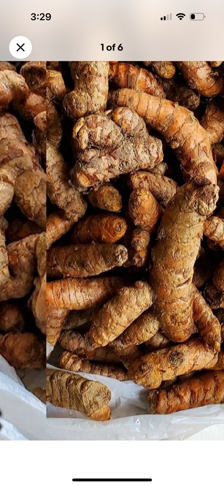 Fresh Turmeric , Indian Herb 8oz. for Arthritis, FREE SHIPPING