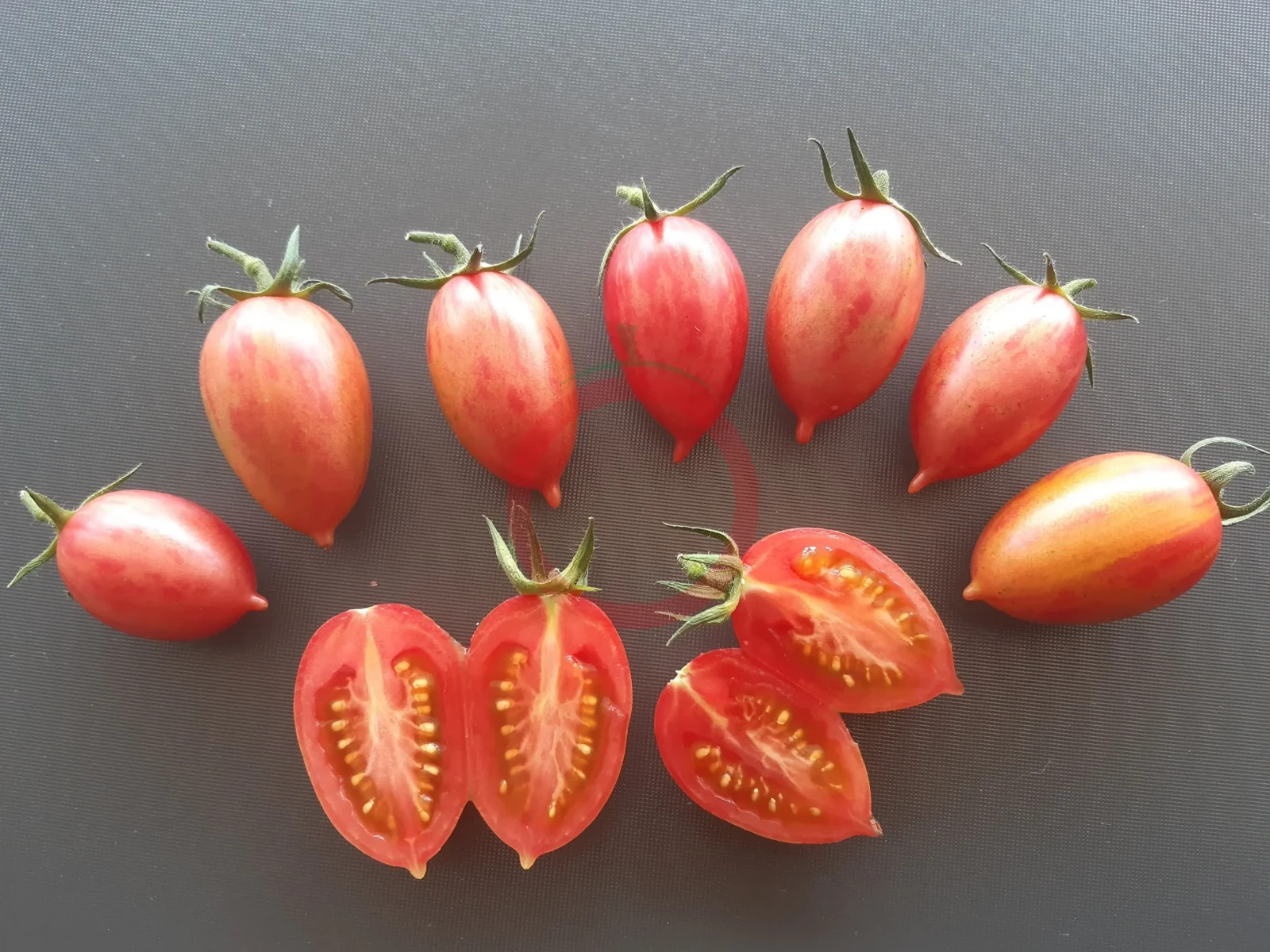 10 seeds Candy Sweet Icicle Tomato Large Cherry Rare Variety Indeterminate