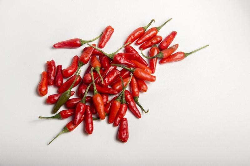high capsinoid pepper seeds ch-sweet (capsicum annum) CH-19 sweet pepper seeds