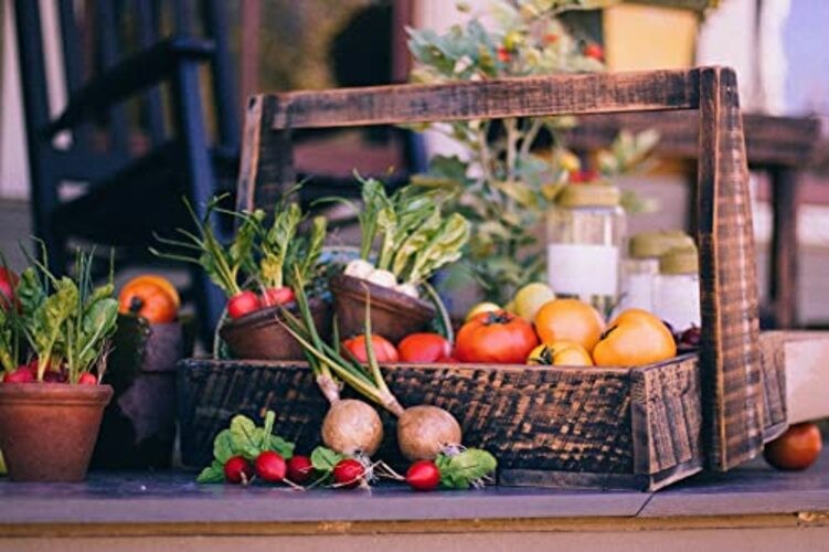 30 Assorted Packages of Vegetable Seeds, 15+ Varieties, All Seeds are