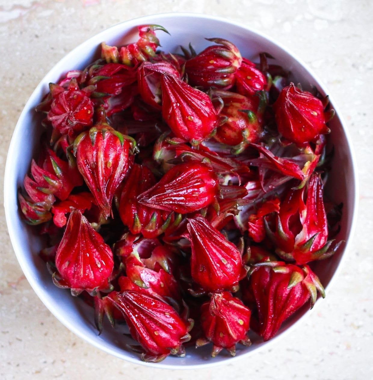 – Red Hibiscus Roselle Seeds – 50+ Count – for 2026 Planting Hibiscus Sabdari…