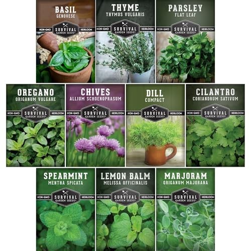 Indoor Herb Seeds Variety Pack | 10 Herbs for Planting – Basil, Mint, Parsley,