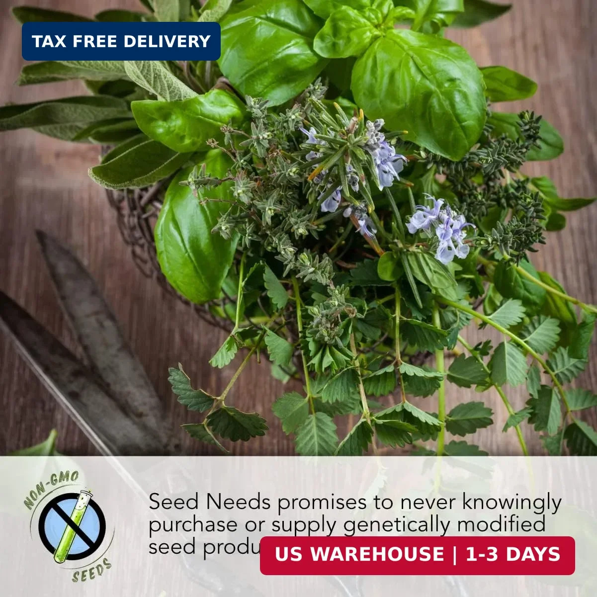 Seed Needs Mint Seeds for Planting Spearmint, Peppermint, Lemon Mint & Pennyroya