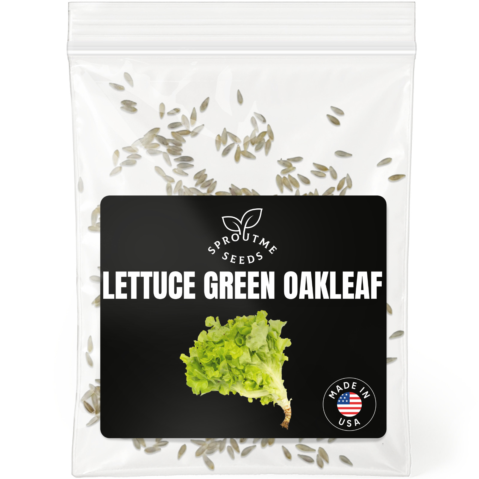 Green Oakleaf Lettuce Seeds 500+, Heirloom Non-GMO, Tender Salad Greens