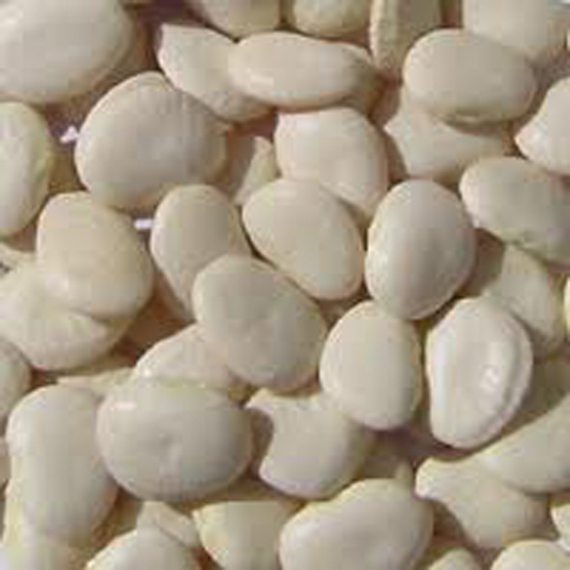 Bean Seeds, Bean Seeds Mix Garden Top 5 Collection, Heirloom Seeds, 5 T