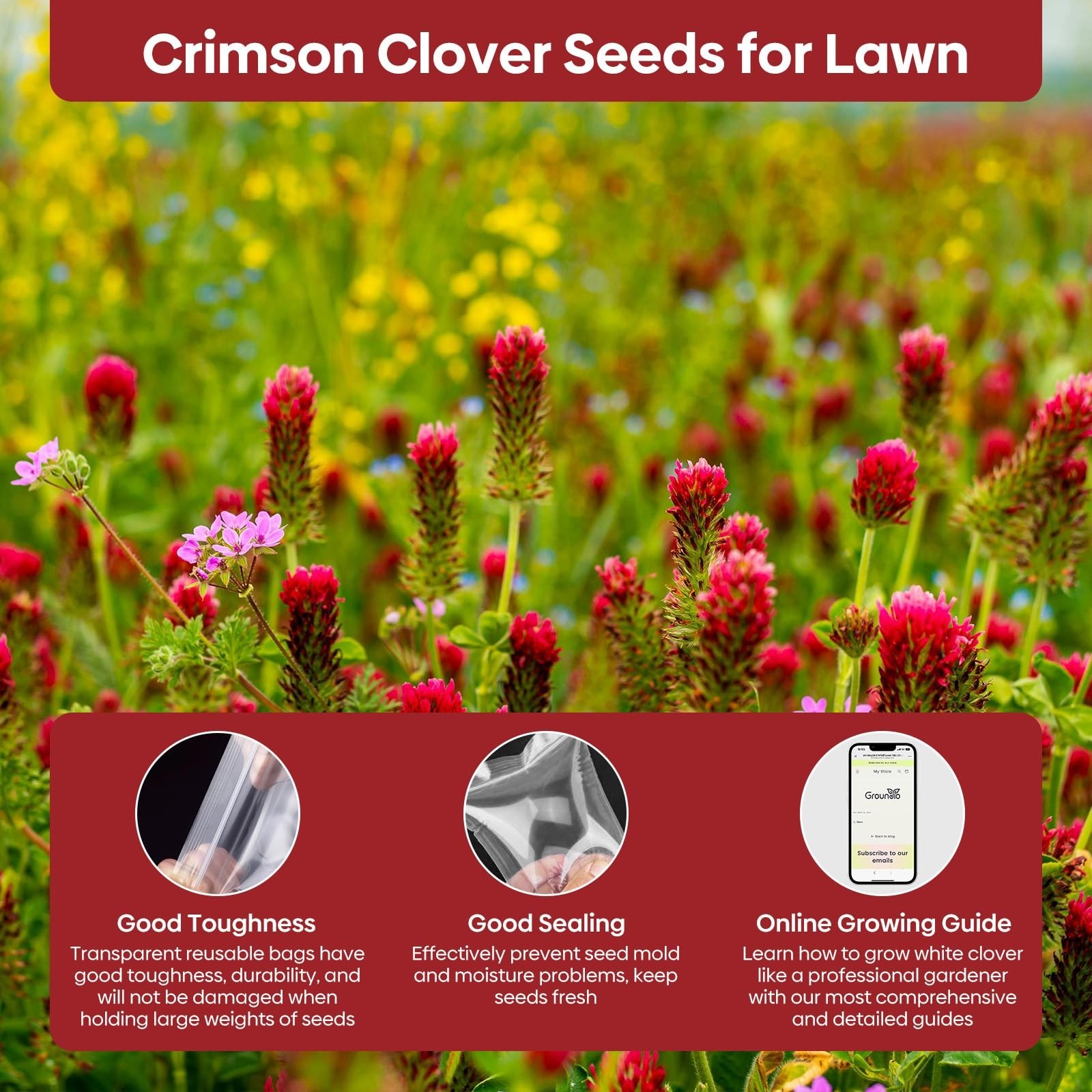 Crimson Clover Seeds 2 lbs – Nitrocoated, Inoculated, Attracts Pollinators, Lawn