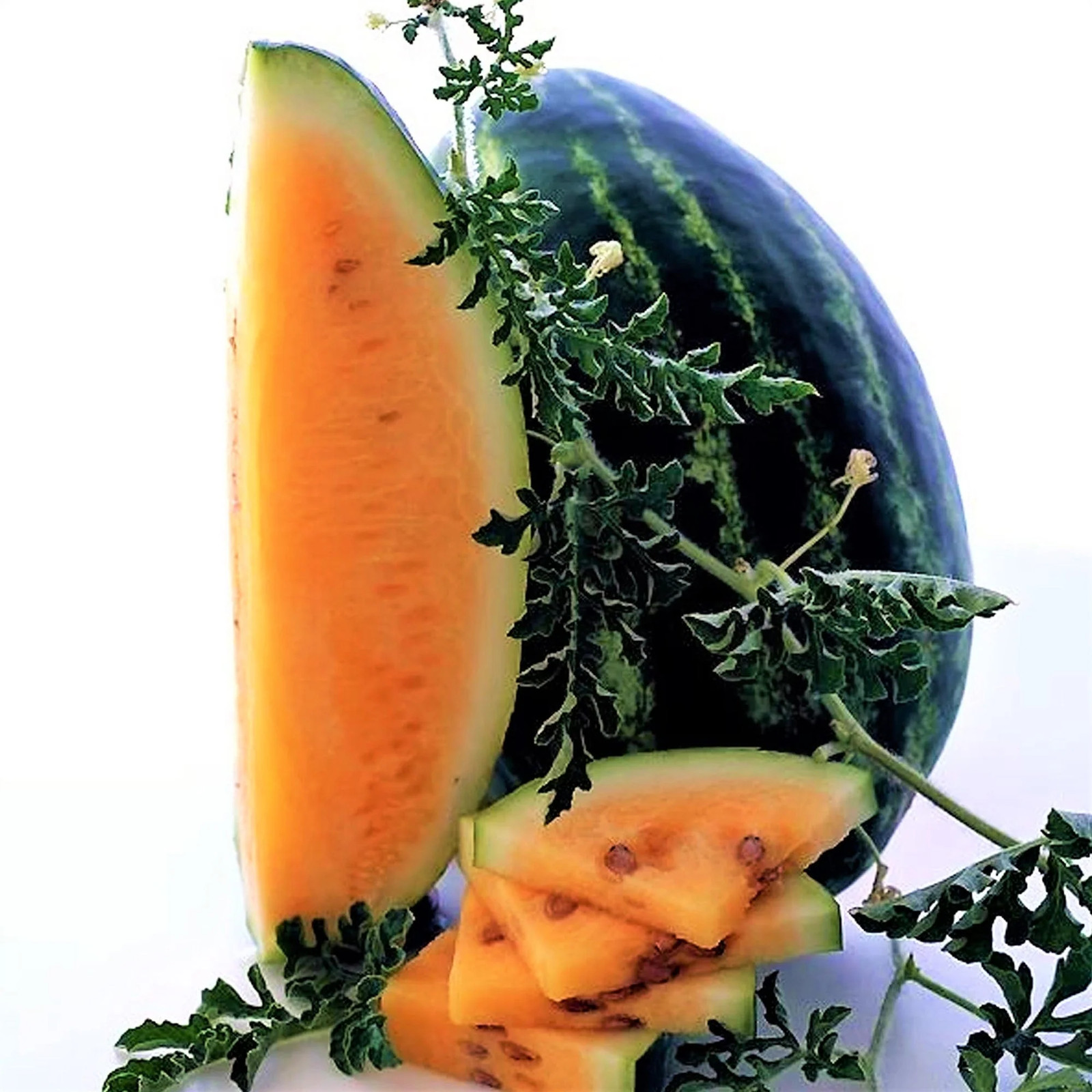 Tendersweet Orange Watermelon Seeds | Fruit Tropical Orangeglo Water Melon 2024
