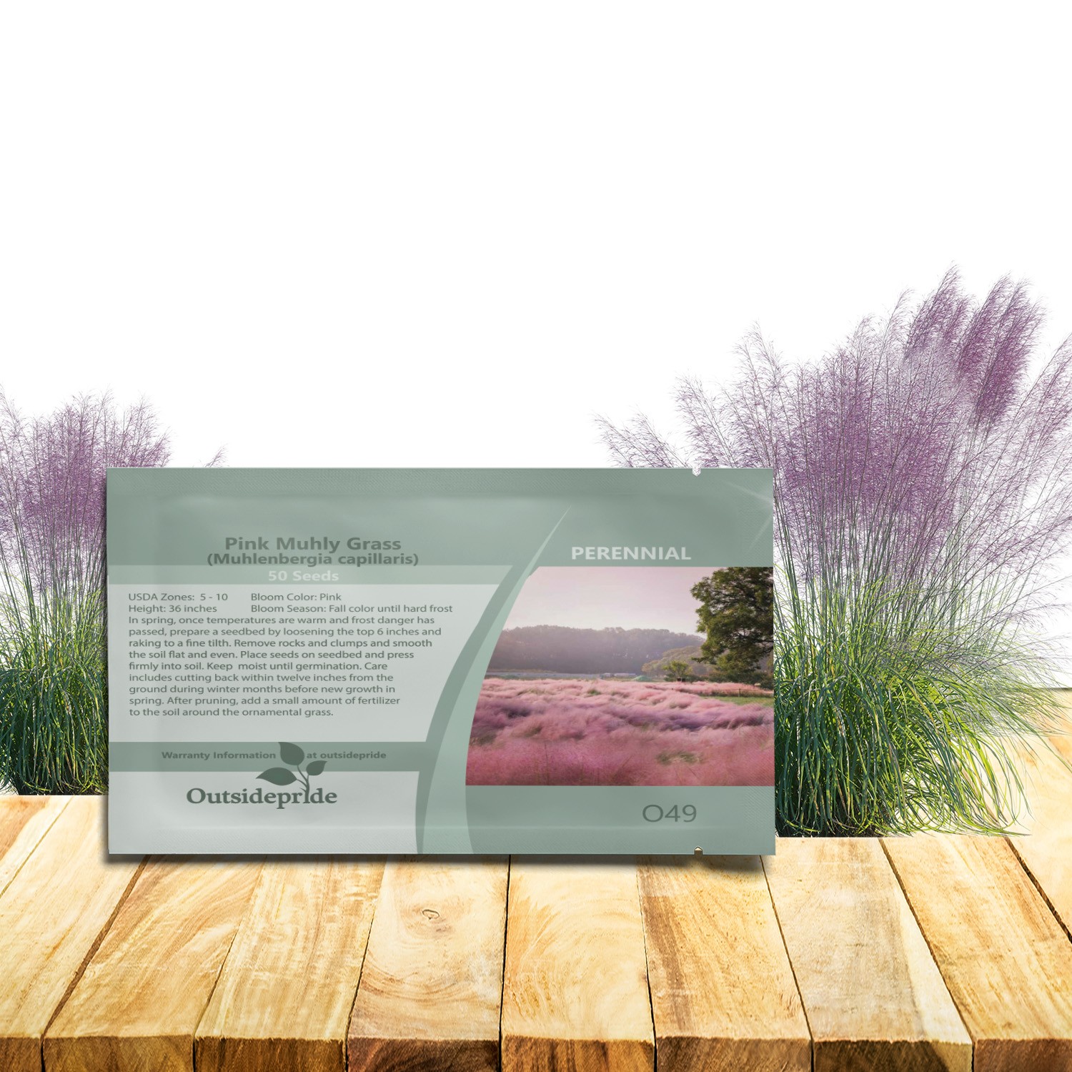 50 Seeds Pink Muhly Drought Tolerant Xeriscape Ornamental Grass Plant Seed
