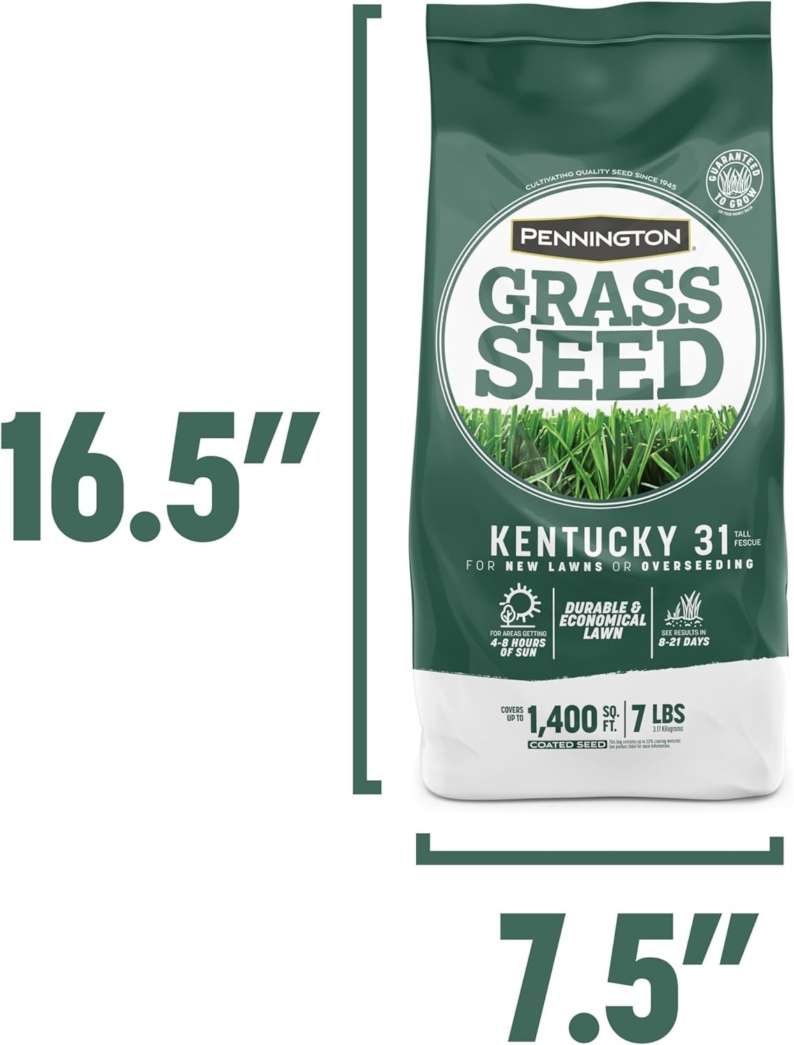 Pet-Friendly Kentucky 31 Tall Fescue Grass Seed – 7 lb, Covers 1400 sq. ft.