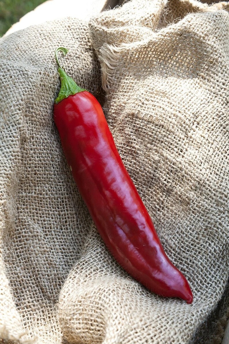 Big Jim Numex New Mexico Hot Pepper Premium Seed Packet + More