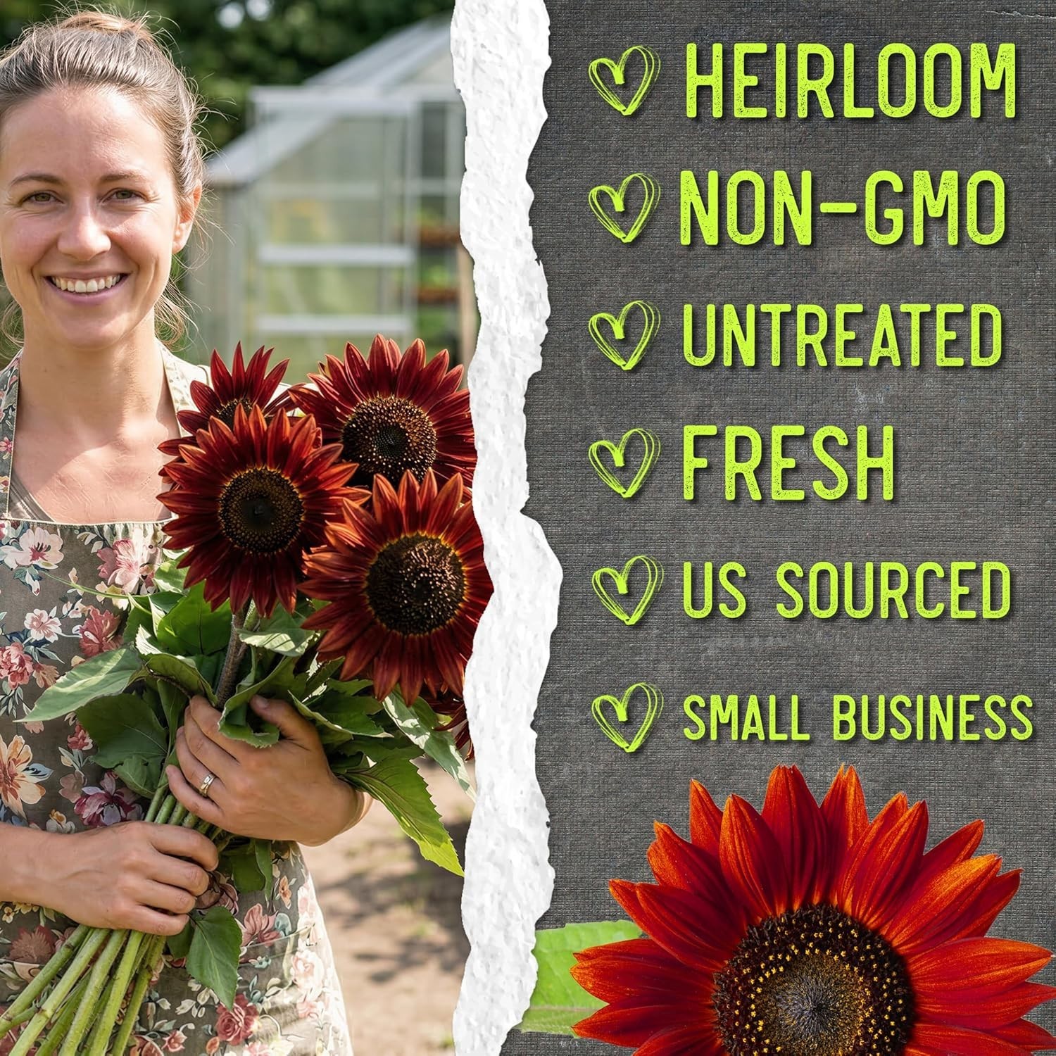 Grow Red Sunflowers with These Heirloom Open Pollinated Seeds