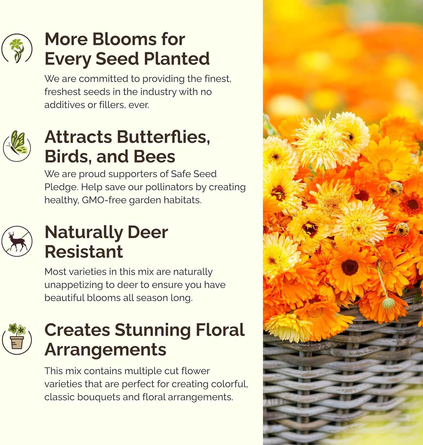 Partial Shade Wildflower Mixed Seeds for Planting, 1/4 lb, 120,000+ Seeds with S