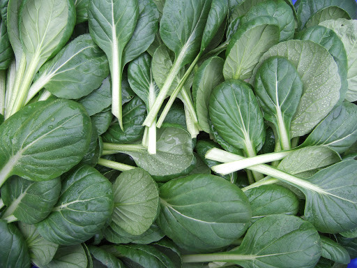 300+ Seeds Tatsoi Tah Tsai Spoon mustard Spinach mustard Rosette bok choy USA