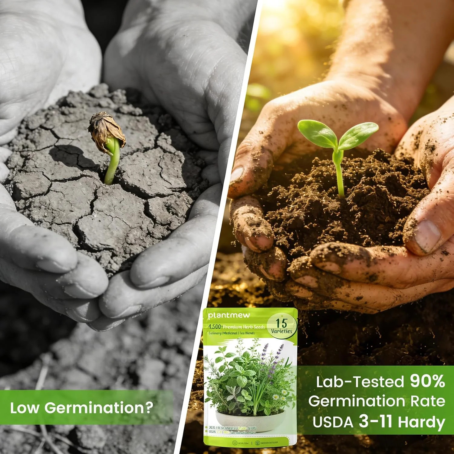 Herb Seeds 15-Pack – 4,500+ Heirloom Seeds for Planting – Indoor & Outdoor Herb