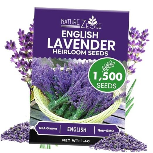 1500 English Lavender Seeds for Planting Outdoors or Indoors – 90% – 1 Pack