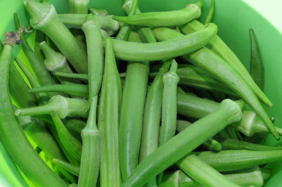 Emerald Okra Seeds, Velvet, Variety Packet Sizes, BEST OKRA, FREE SHIPPING