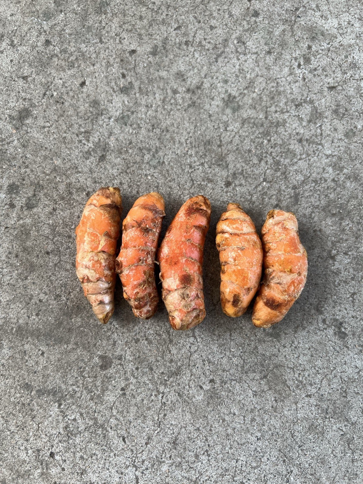 5pcs Fresh Turmeric Roots For Planting Curcuma Longa Ready To Plant