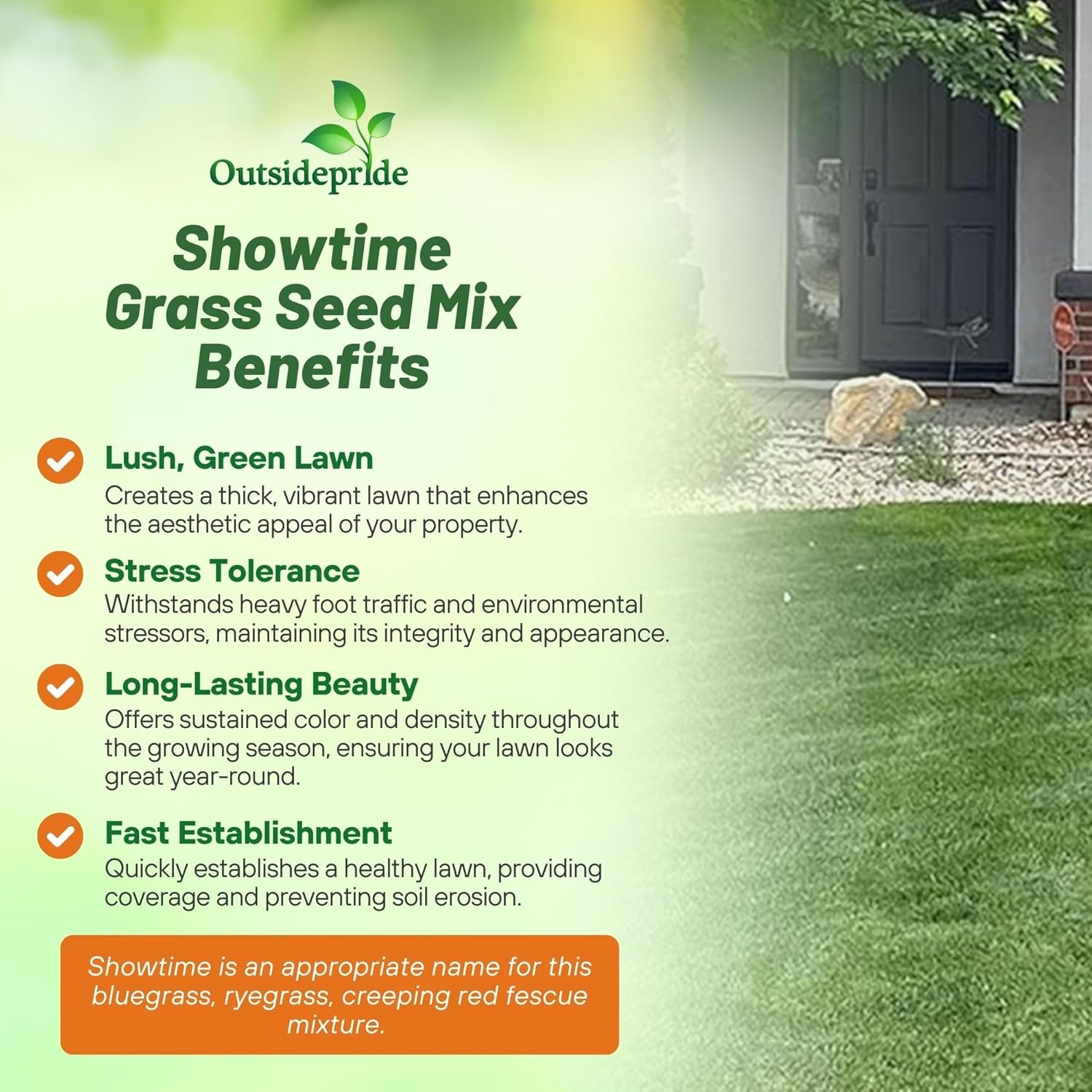 5 LBS – OptiGrowth Coated Showtime grass seed mix of fine fescue, Kentucky