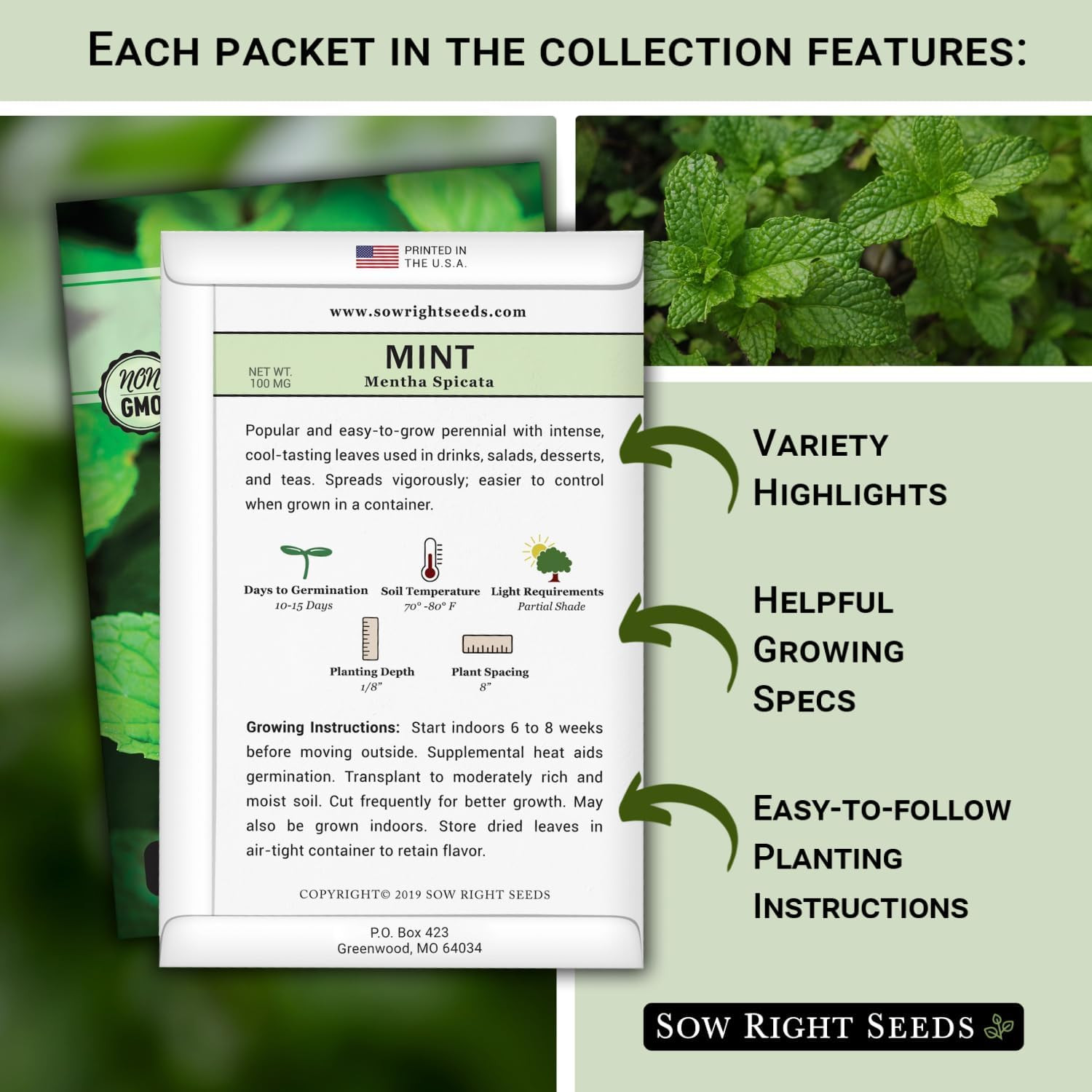 – Most Popular Herb Seed Collection for Planting – Mint, Lavender, Sweet Basil,