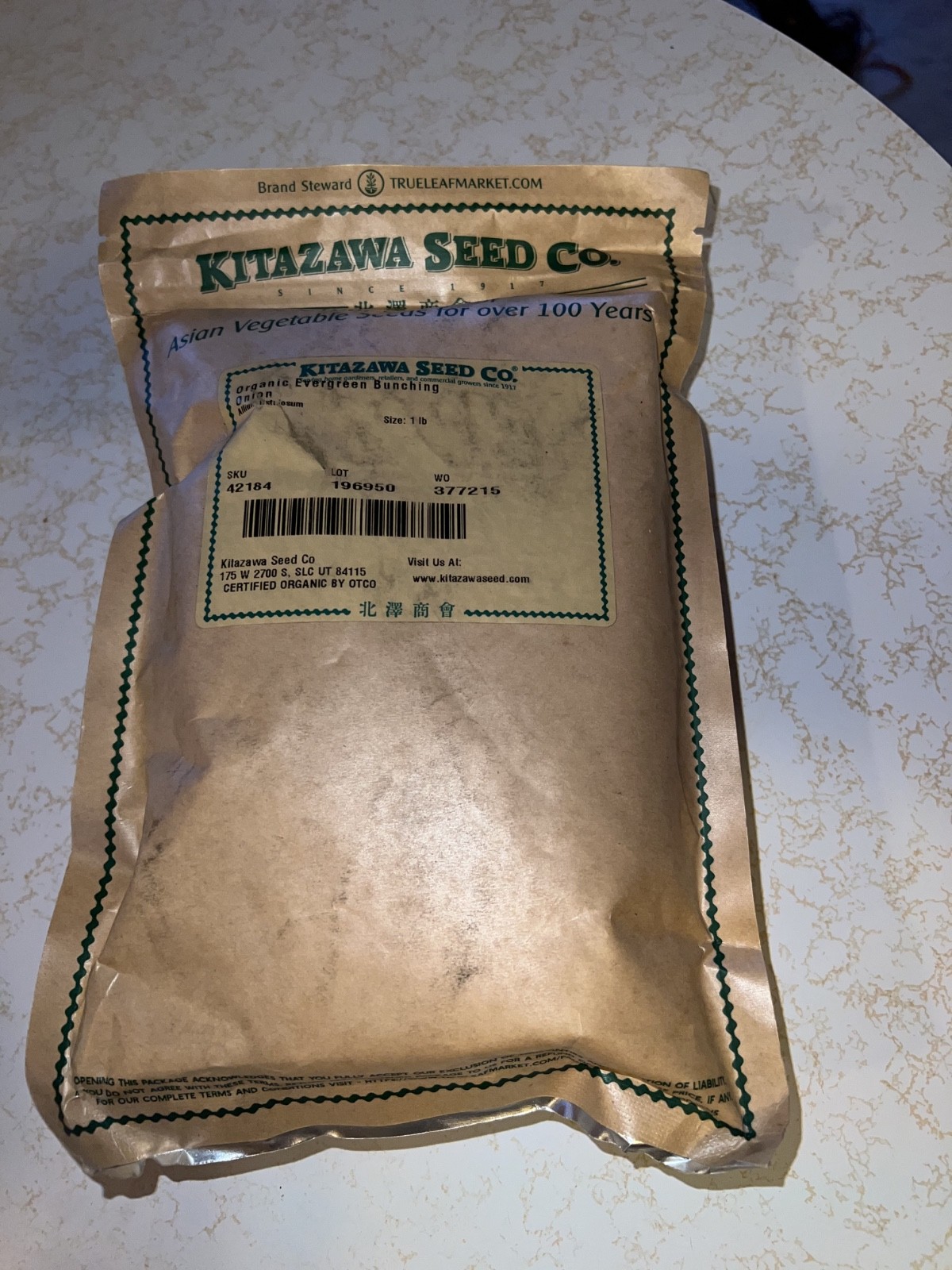 Onion – Bunching – Evergreen (Organic) – Microgreens Seeds ilb packet ~By KITAZA