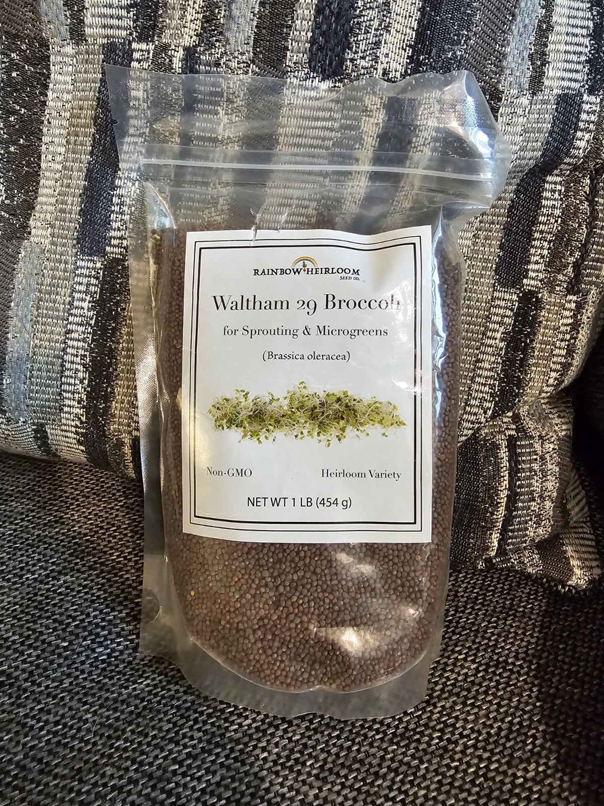 Rainbow Waltham 29 Broccoli Non-GMO Heirloom Seeds Sprouting (1 lb) Microgreens