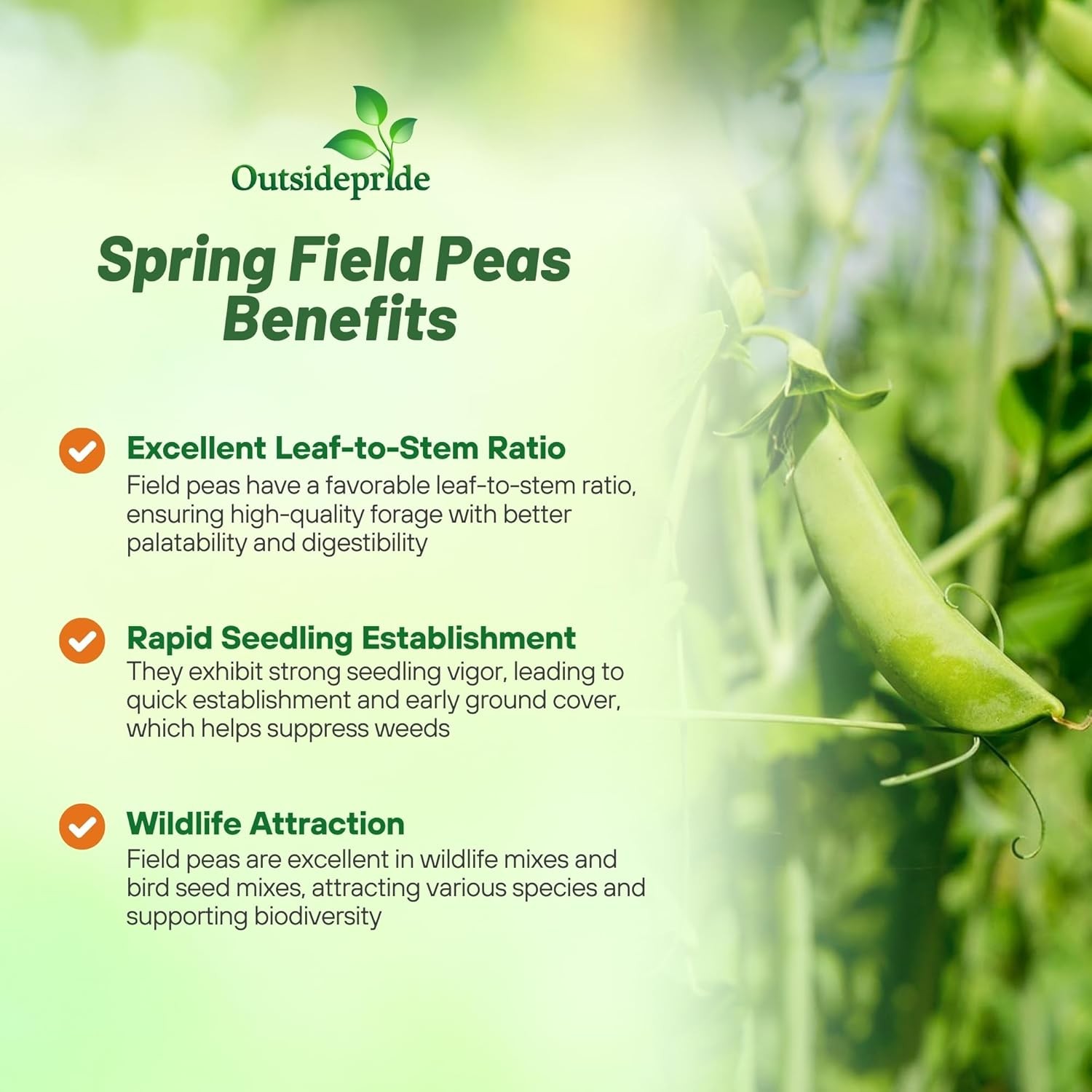 5 LBS Field peas for cover crops and food plots
