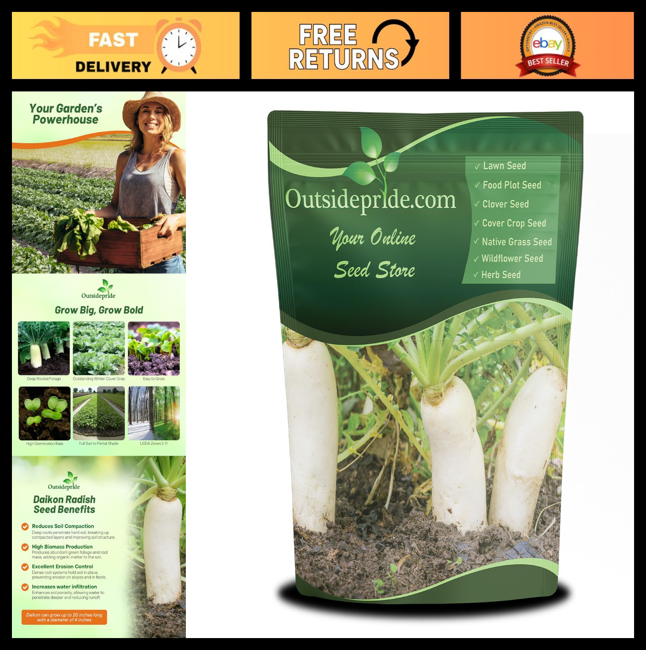 5 lbs Daikon Radish Seeds – Chinese & Japanese Variety for Soil Health, Erosion