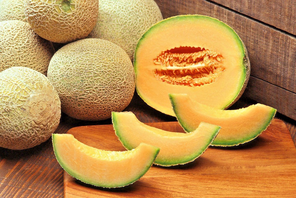 ATHENA CANTALOUPE / PROVEN, RELIABLE PRODUCER / SUPER SWEET / HIGH QUALITY FRUIT