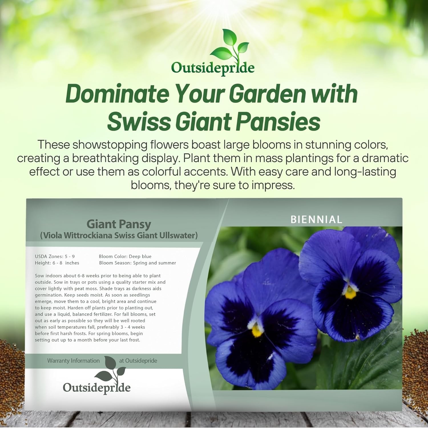 2000 Seeds Pansy Seeds – Pansy Ullswater Blue Flower Seed