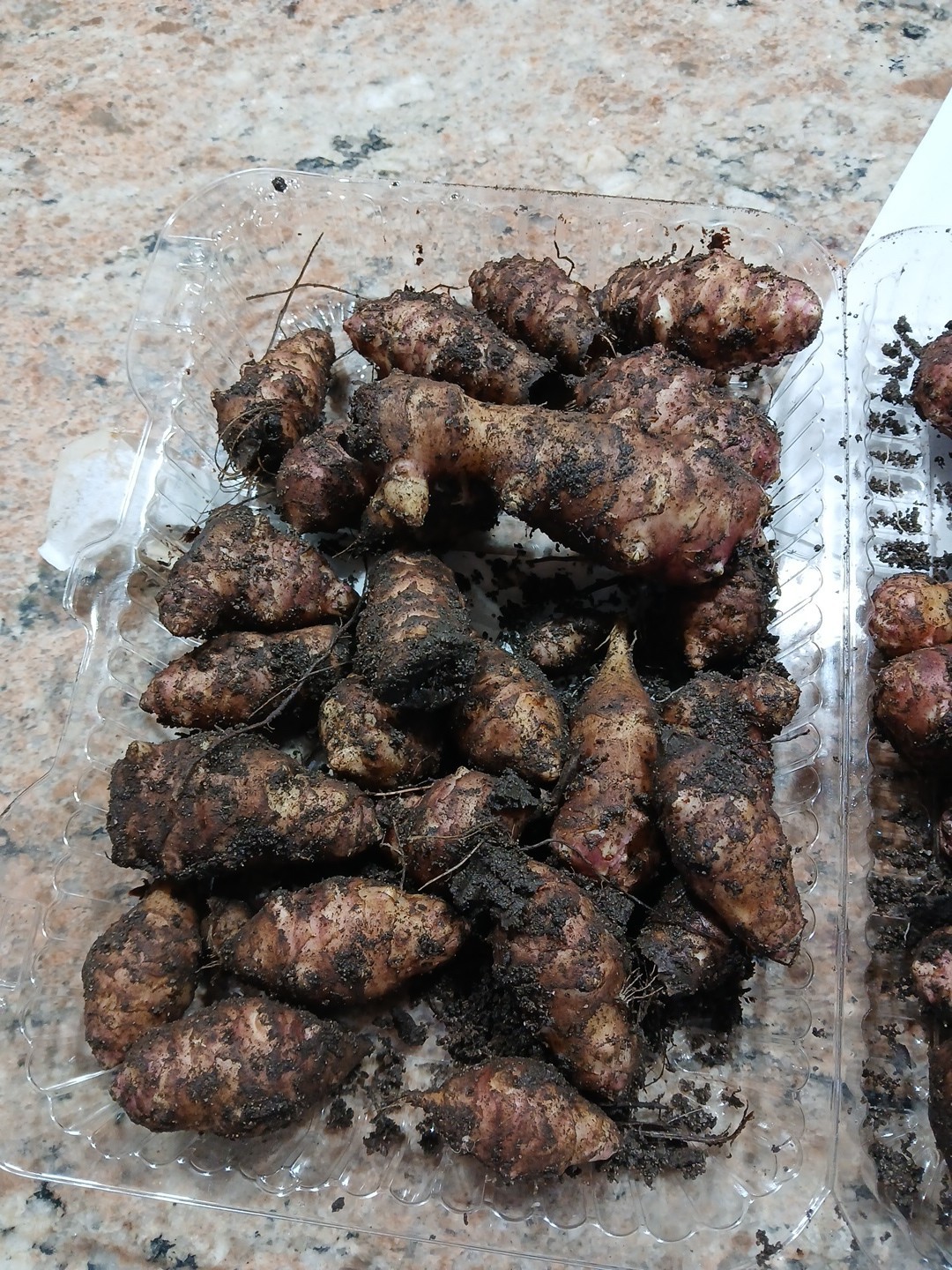 1 LB Tubers Premium Organic PINK Jerusalem Artichoke (Sunchoke), Plant Or Eat!