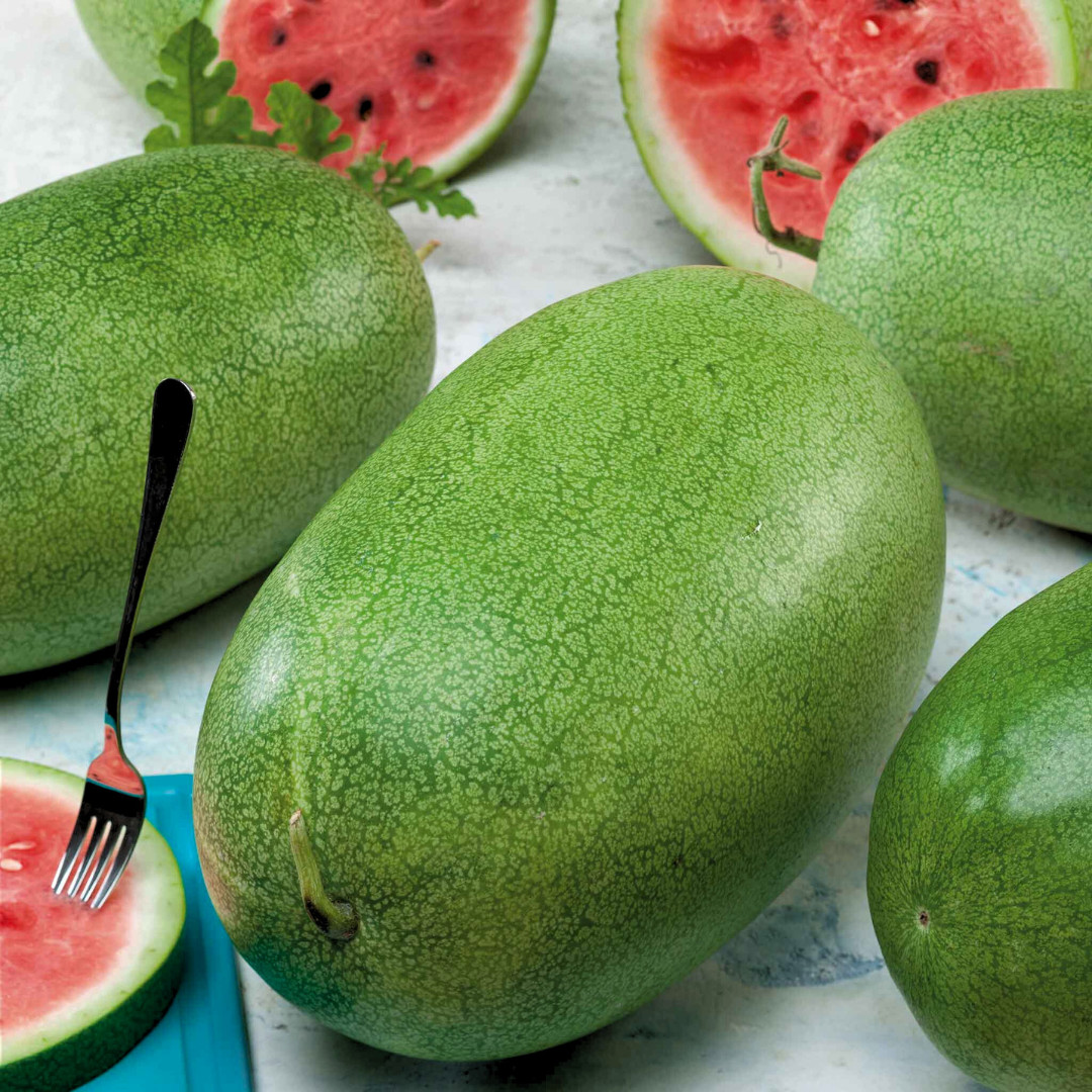 Fresh Charleston Grey Watermelon Seeds | Heirloom Non-GMO | Fresh Fruit Seeds
