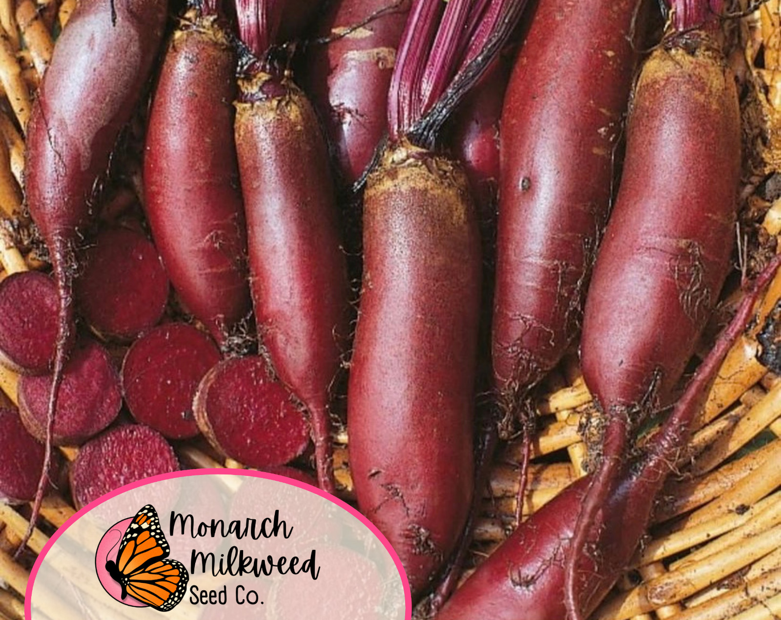 550+ Beet Seeds ‘Cylindra’ | Heirloom, Non-GMO, Vegetable Gardening Seed Packet
