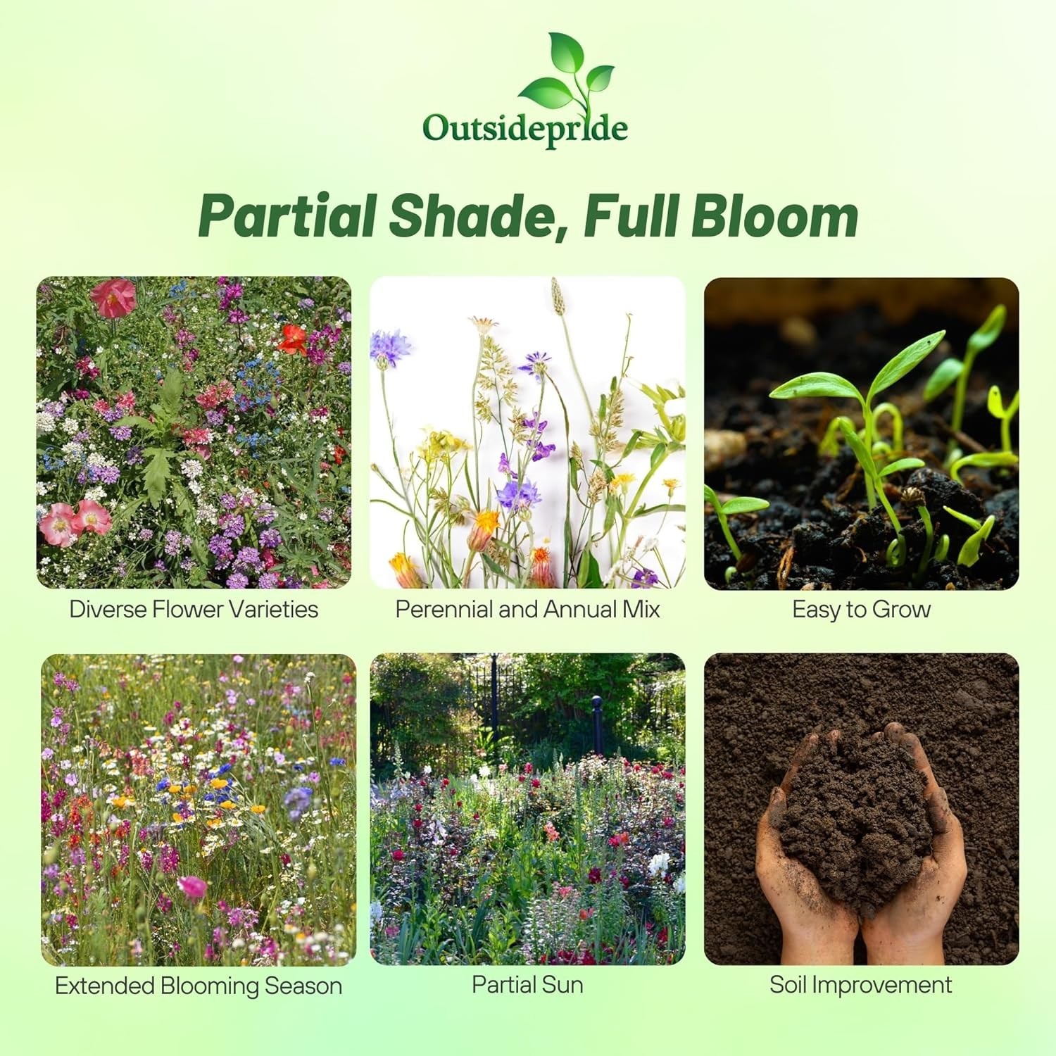 Diverse 1 lb Wildflower Seed Mixture for Partial Shade – Blooms Spring to Fall