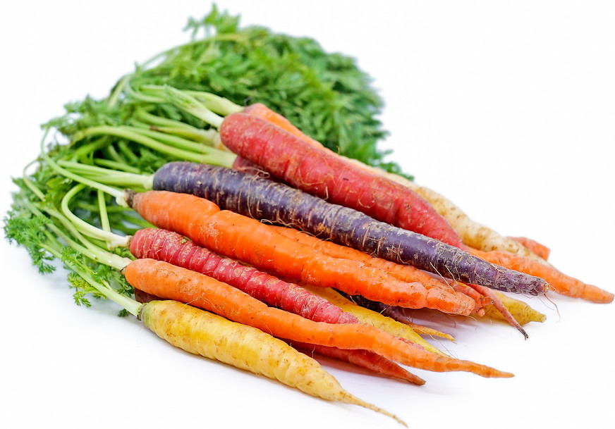 300 RAINBOW CARROT SEEDS ~ heirloomseedguy ~ 2026 ~ NON-GMO