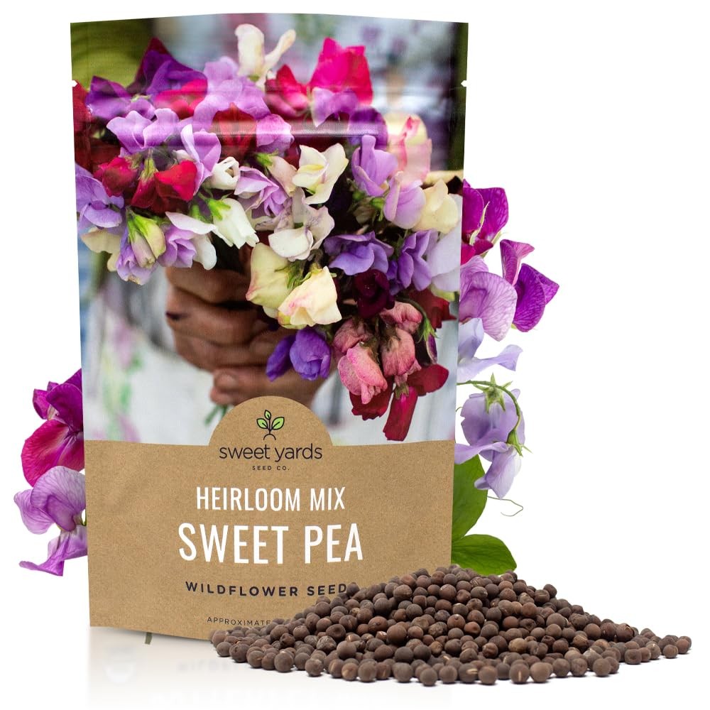 Heirloom Sweet Pea Seeds Mix Bulk 1/4 Pound 1,400+ Fragrant Blooms