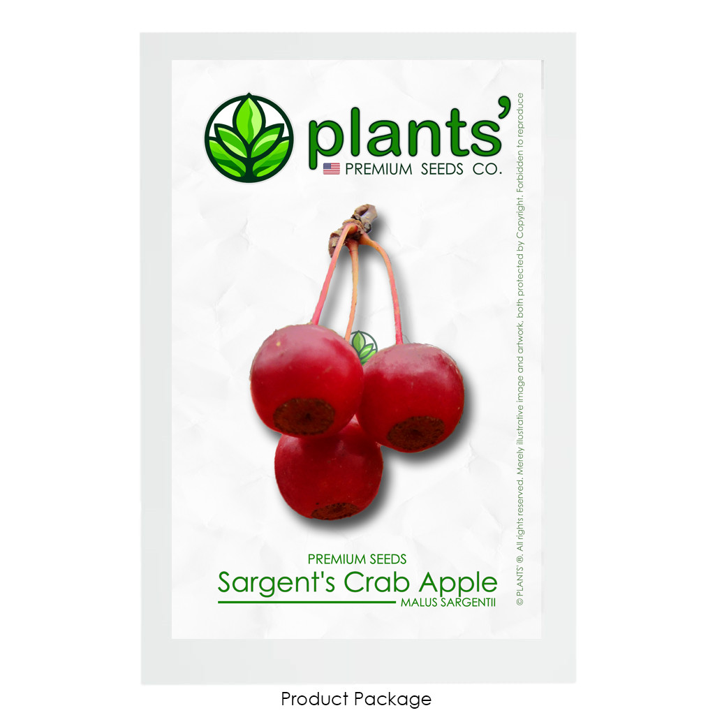 Sargent’s Crabapple | Premium Seeds | Malus sargentii ‘Fruit’ | Plants’®