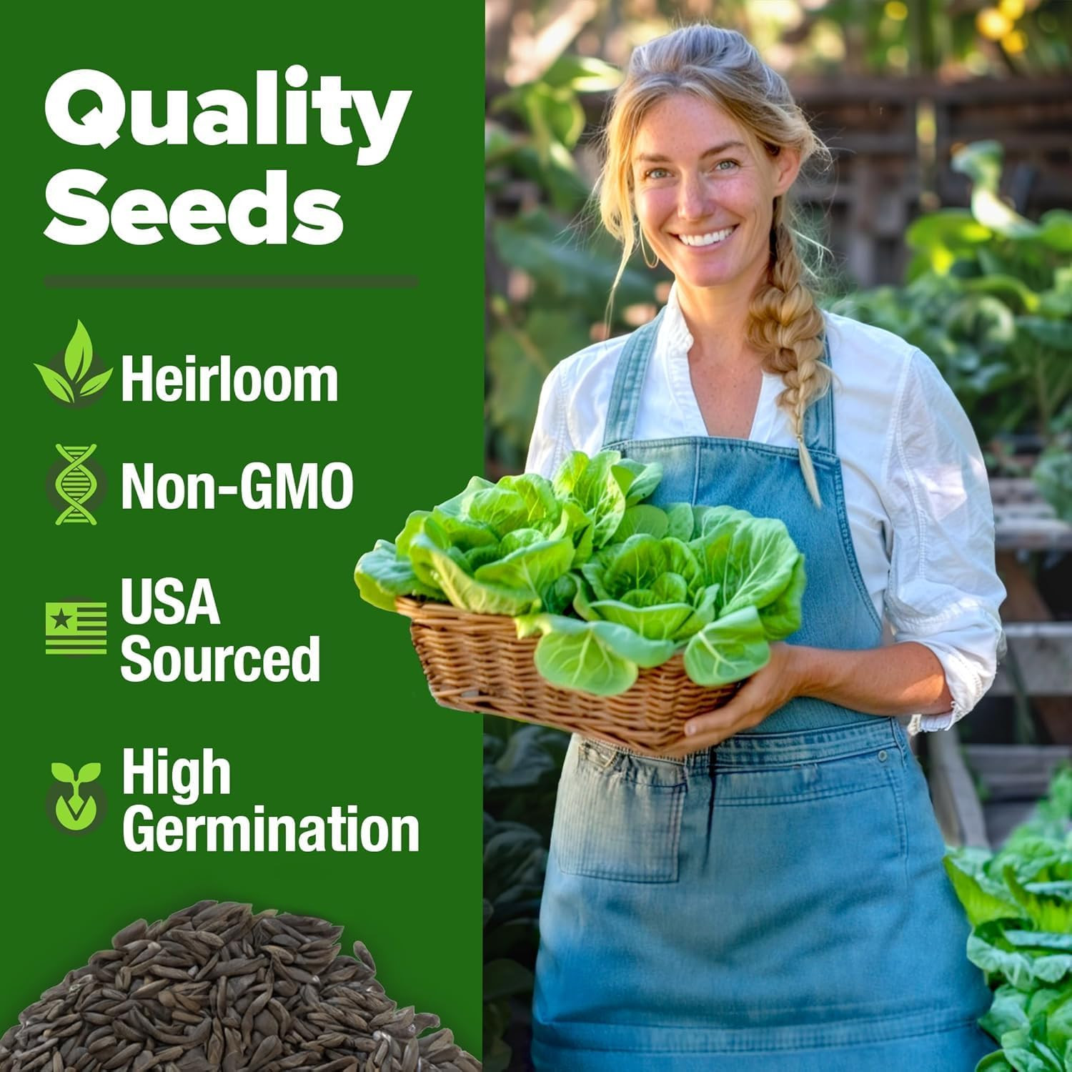 3500+ Buttercrunch Lettuce Seeds for Planting -Heirloom Non-Gmo | Lactuca Sativa