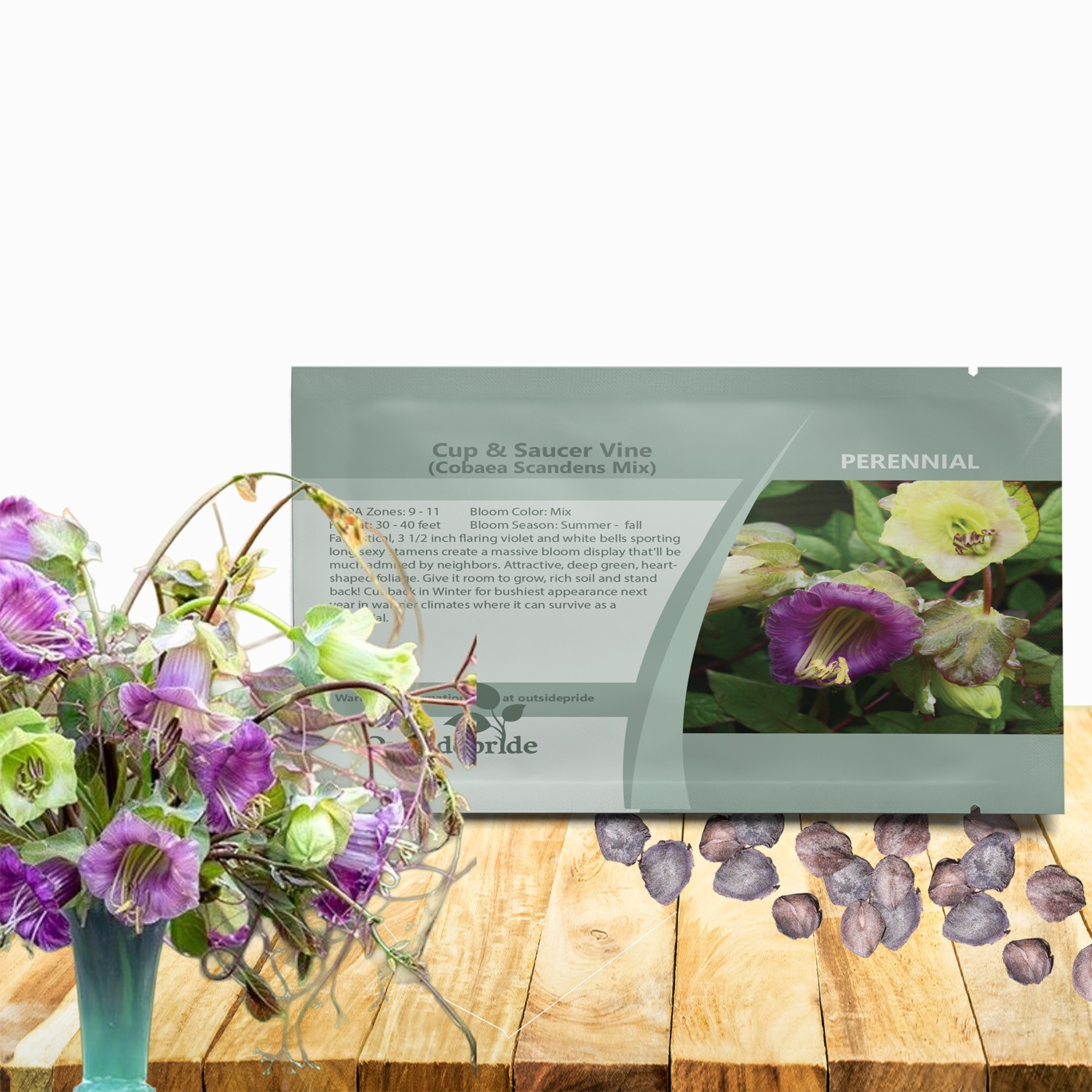 100 Seeds Cup & Saucer Vine Cobaea Scandens Vine Seed Mix