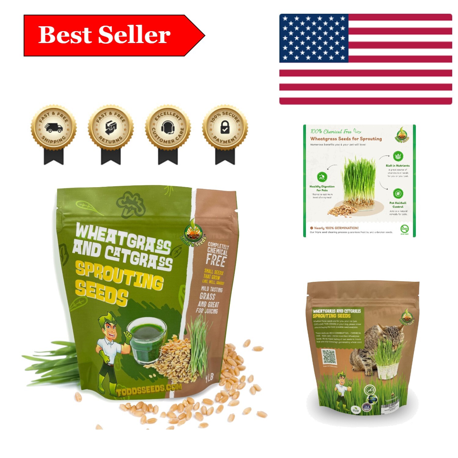 1lb Pet-Safe Wheatgrass for Cats – Todd’s Non-GMO Grass, Easy Indoor Growing