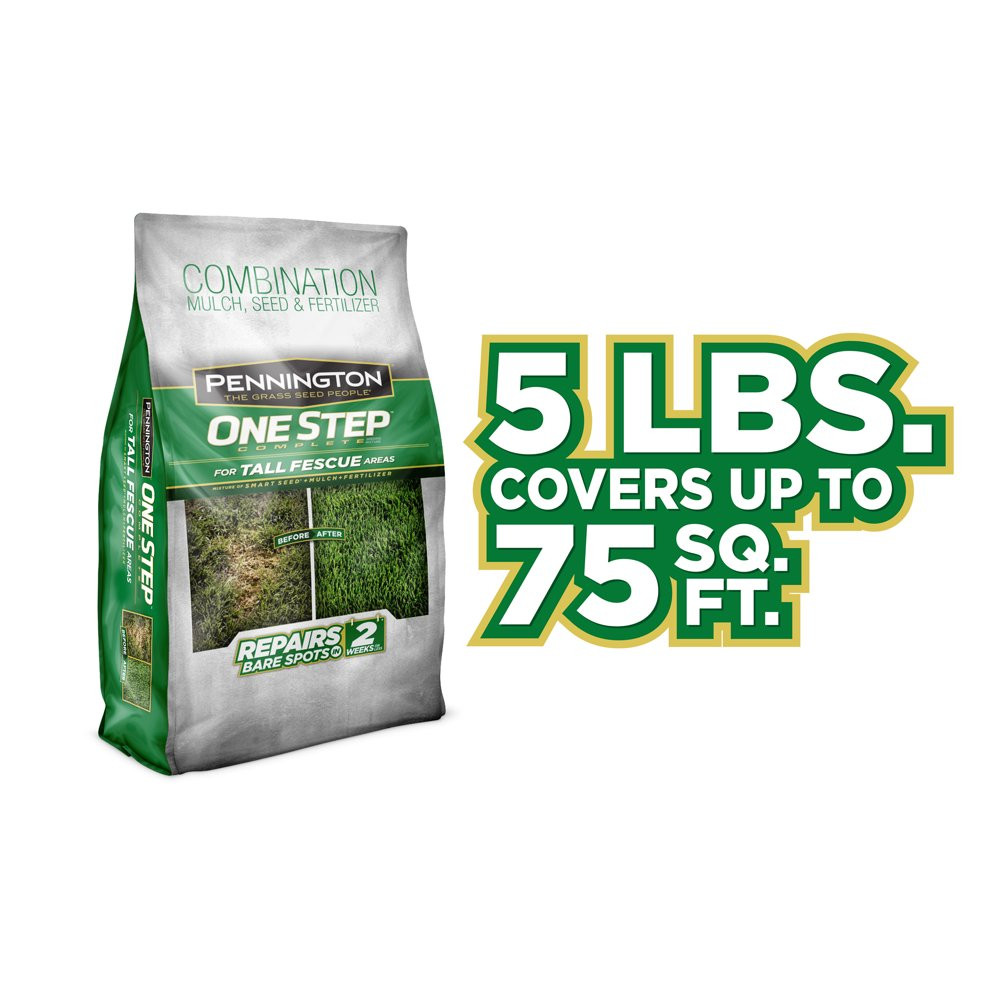 GRASS SEED PATCH REPAIR Tall Fescue for Sun to Partial Shade