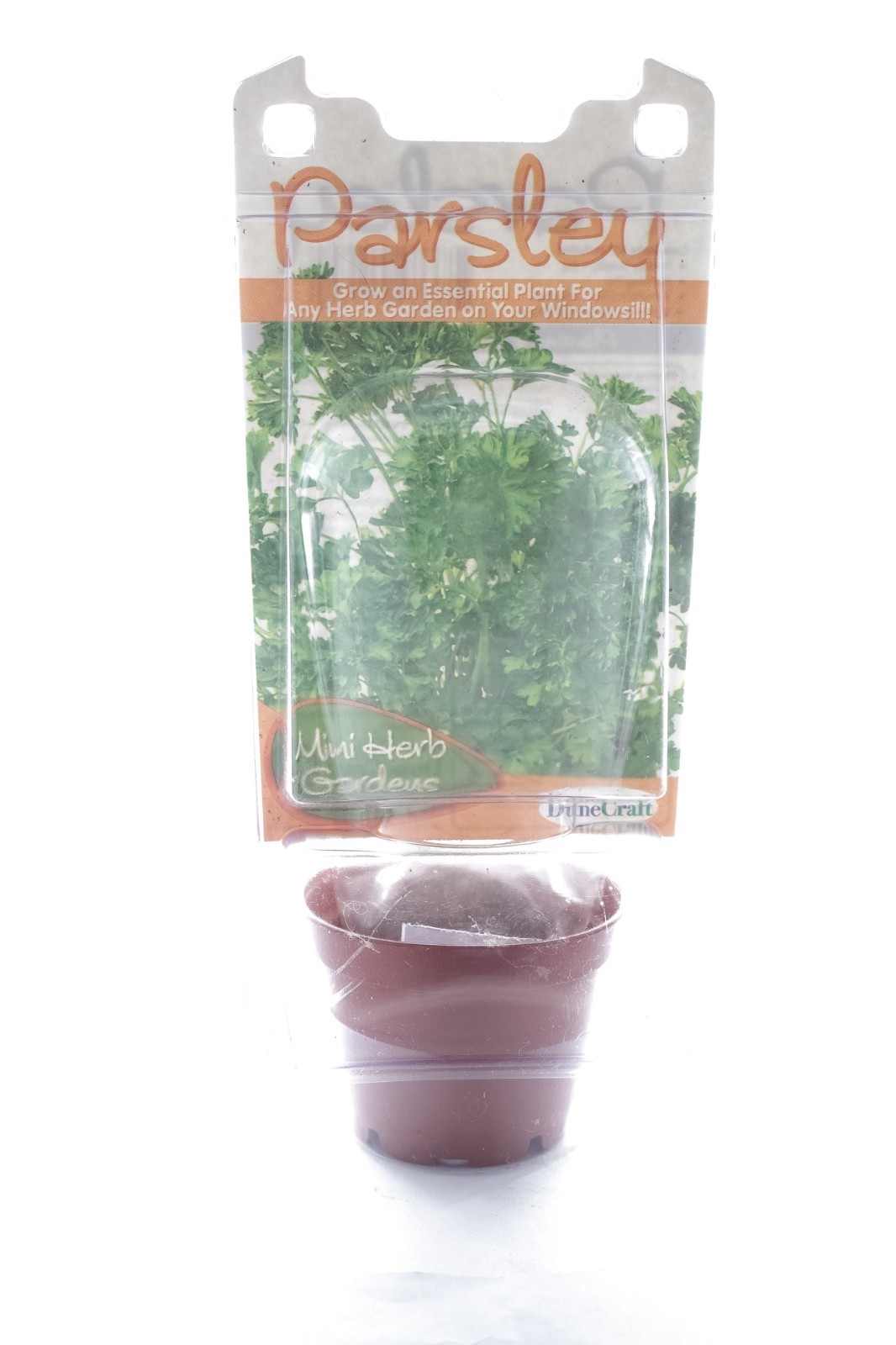 New DuneCraft Mini Herb Garden Grow A Flavorful Antioxidant 6 To Choose From