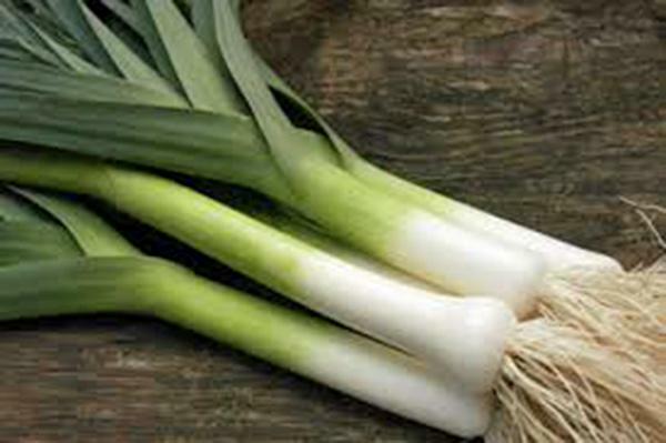 LEEK SEEDS, AMERICAN FLAG, 100 SEEDS, HEIRLOOM, NON GMO, LEAK SEEDS