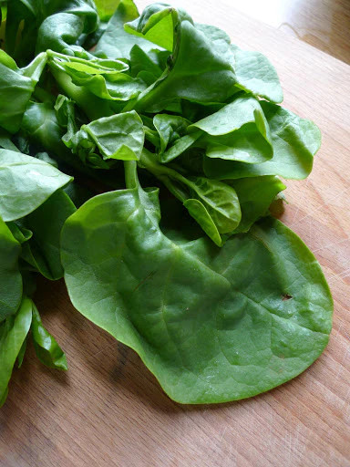 Giant Malabar Spinach Seeds | Round Leaf Green Vine Lettuce Vegetable Seed 2024