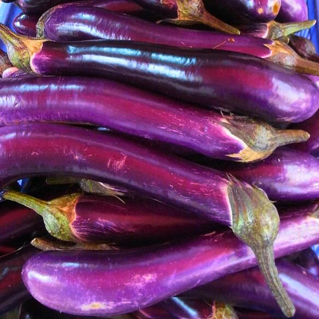 Fresh Chinese Eggplant Seeds | Ping Tung | Heirloom Non-GMO | Asian Vegetable
