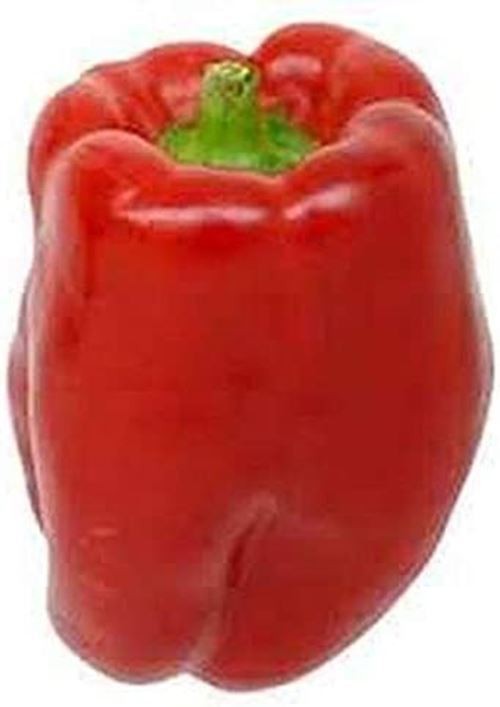 Chinese Giant Red Bell Pepper Seeds (25+ Seeds)